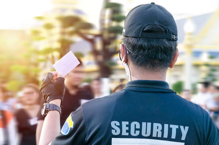 security-services-for-party